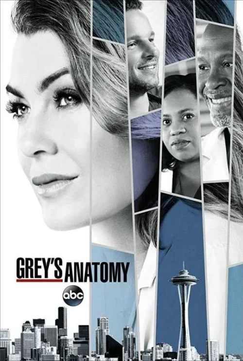 مسلسل Grey’s Anatomy الموسم 14 الحلقة 17