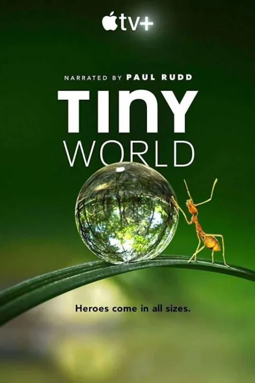 مسلسل Tiny World مترجم