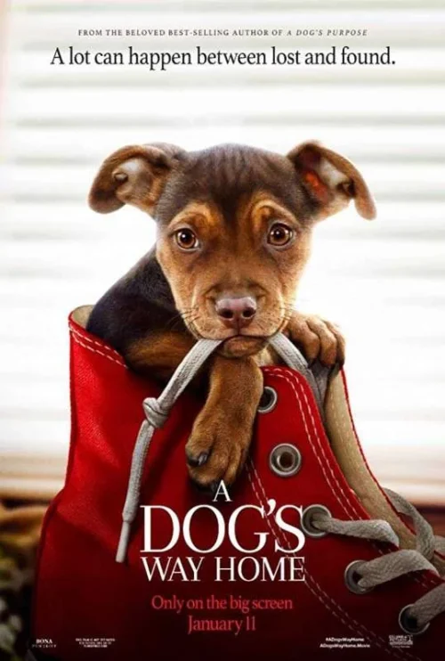 فيلم A Dog’s Way Home 2019 مترجم اون لاين