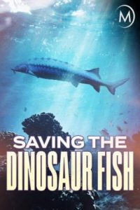 فيلم Saving the Dinosaur Fish 2020 مترجم اون لاين