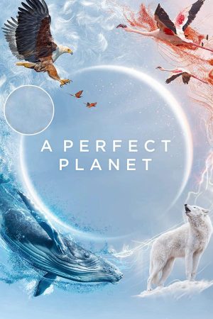مسلسل A Perfect Planet مترجم