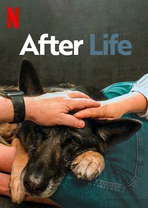 مسلسل After Life مترجم