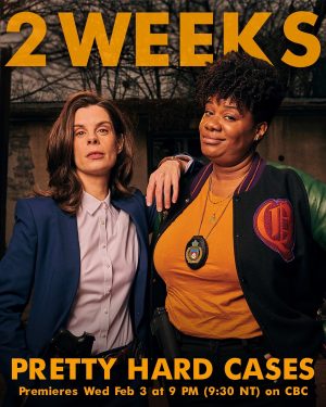 مسلسل Pretty Hard Cases مترجم
