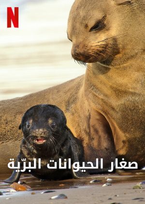 مسلسل Wild Babies مترجم