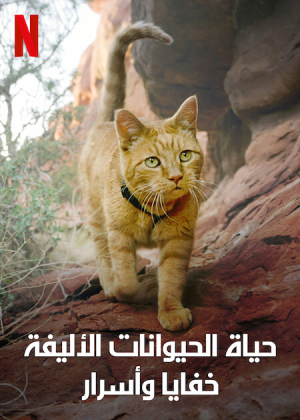 مسلسل The Hidden Lives of Pets مترجم
