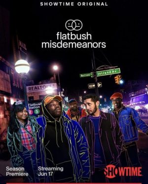 مسلسل Flatbush Misdemeanors مترجم