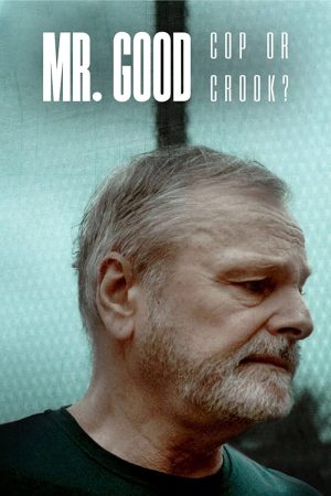 مسلسل Mr Good: Cop or Crook مترجم
