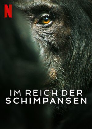 مسلسل Chimp Empire مترجم
