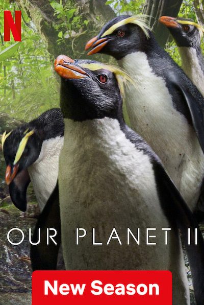 مسلسل Our Planet مترجم
