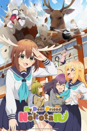 انمي Shikanoko Nokonoko Koshitantan مترجم