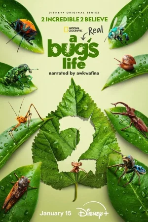 مسلسل A Real Bug's Life مترجم