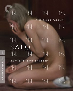 فيلم Salò o le 120 giornate di Sodoma 1975 مترجم اون لاين