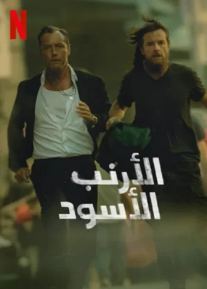 مسلسل Black Rabbit مترجم