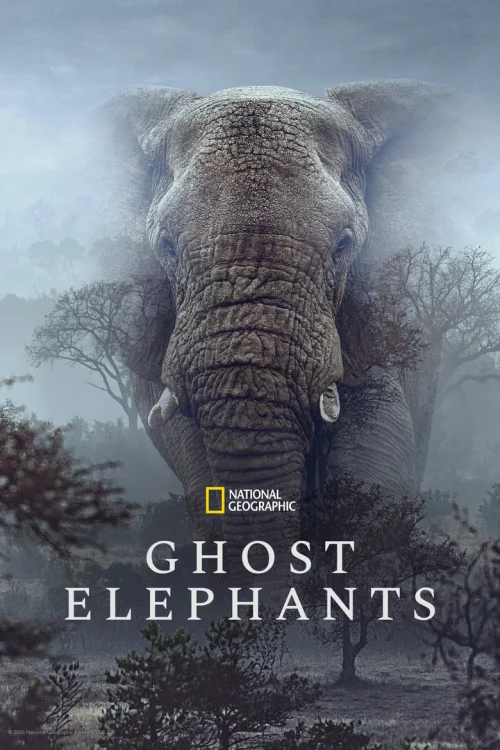 فيلم Ghost Elephants 2026 مترجم اون لاين