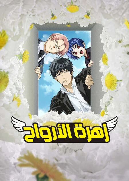 انمي Dandelion مترجم