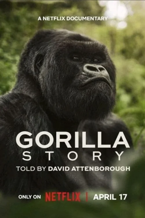 فيلم A Gorilla Story: Told by David Attenborough 2026 مترجم اون لاين